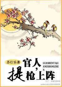 官人，提枪上阵